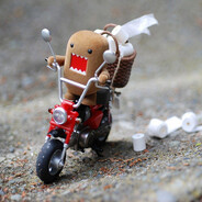 Domo