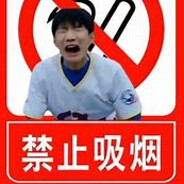 翻斗花园芙蓉王源带包