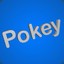 pokey308