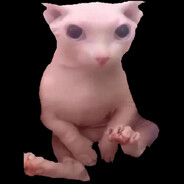 Bingus