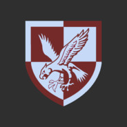 16 Air Assault Milsim Community avatar