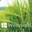 Windows10