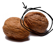Right Nut