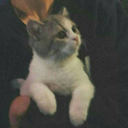 米老鼠听了想打人