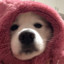 绿藻头~