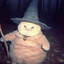 cat wizard