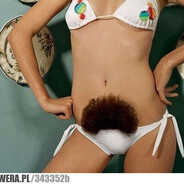 Busz Śmierdziel - steam id 76561199016718438