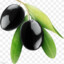 Gergin Siyah Zeytin