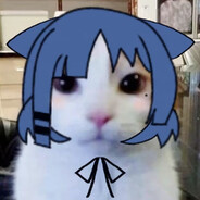 下北泽外交大使