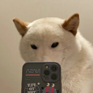 柜子动了怎么玩？