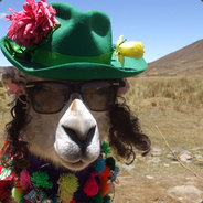 Mr. Llama