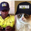NETE_FELIX