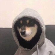 西伯利亚的大尾巴狼