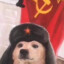 Comrade Doggo