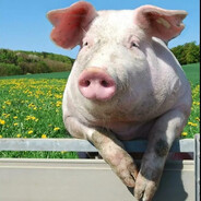 ольга васильевна