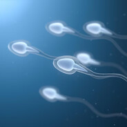 中国市は、口の中で最