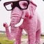 _PiNk_eLePhAnT_