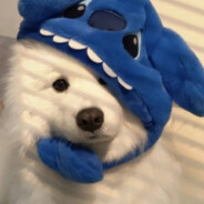 她携秋水揽星河