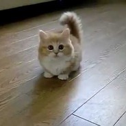 Иди Приласкаю