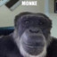 MONKE