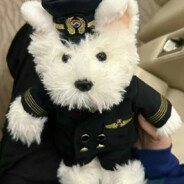 我有玉玉症别骂我·