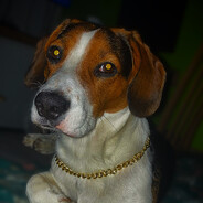 𝕳𝟓ROLUS444 - steam id 76561198790926592