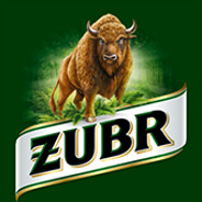 żubr