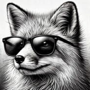foxer the foxYT avatar