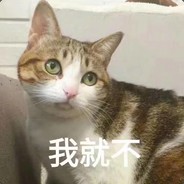 玉米猫