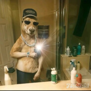 Dora la suporteadora