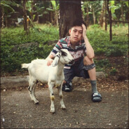 羊村突破手懒羊羊