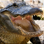 Министр Хуйни