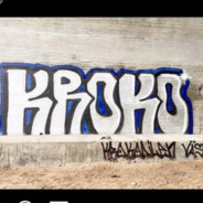 KrokodileN - steam id 76561198012260275