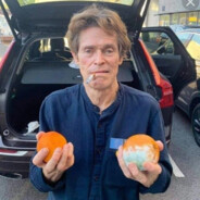 авокадий - steam id 76561199140668102