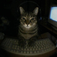 Tingl avatar
