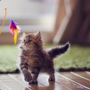 蹲草丛的加菲喵