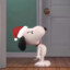 Puhxsuk_to11