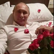 свинка копа