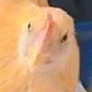 雨癖其实是喻癖