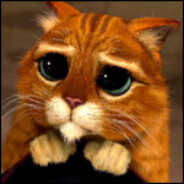 𝑀𝒶𝑀𝒾𝒩𝒶 𝑅