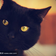 [B小队白给兵】黑泽