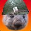 Mortal Wombat