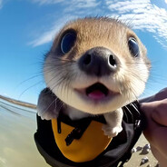 噢嘛基里·曼波