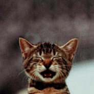 cat v12