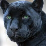 Cougar Hunter