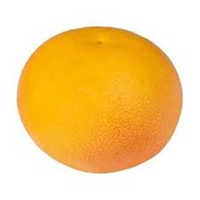 Grapefruit