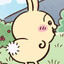 Dubious Glutton