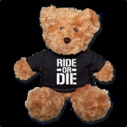 Fugitive Bear
