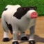 cow?