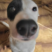 Mudo